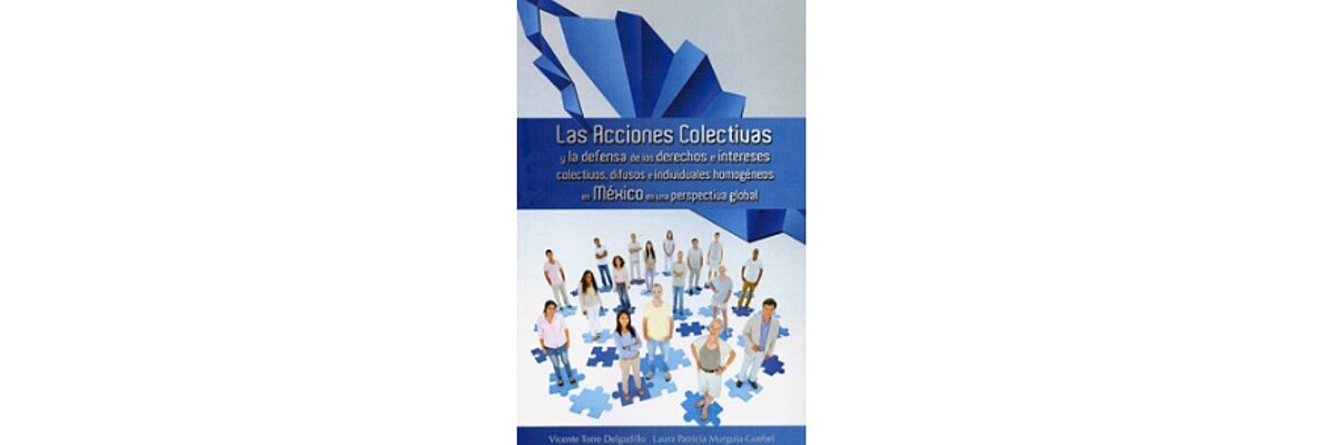 Acciones Colectivas y la defensa de los derechos e intereses colectivos, difusos e individuales homogéneos en México en una perspectiva global